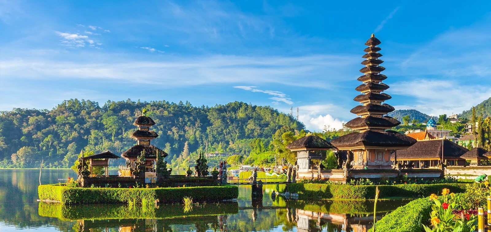 Signature Series - Bali Edition